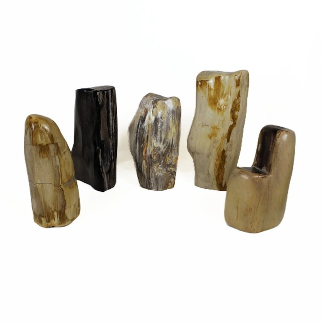 Polished Petrified wood freeform - Fossilised wood...