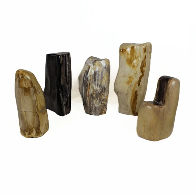 Polished Petrified wood freeform - Fossilised wood...