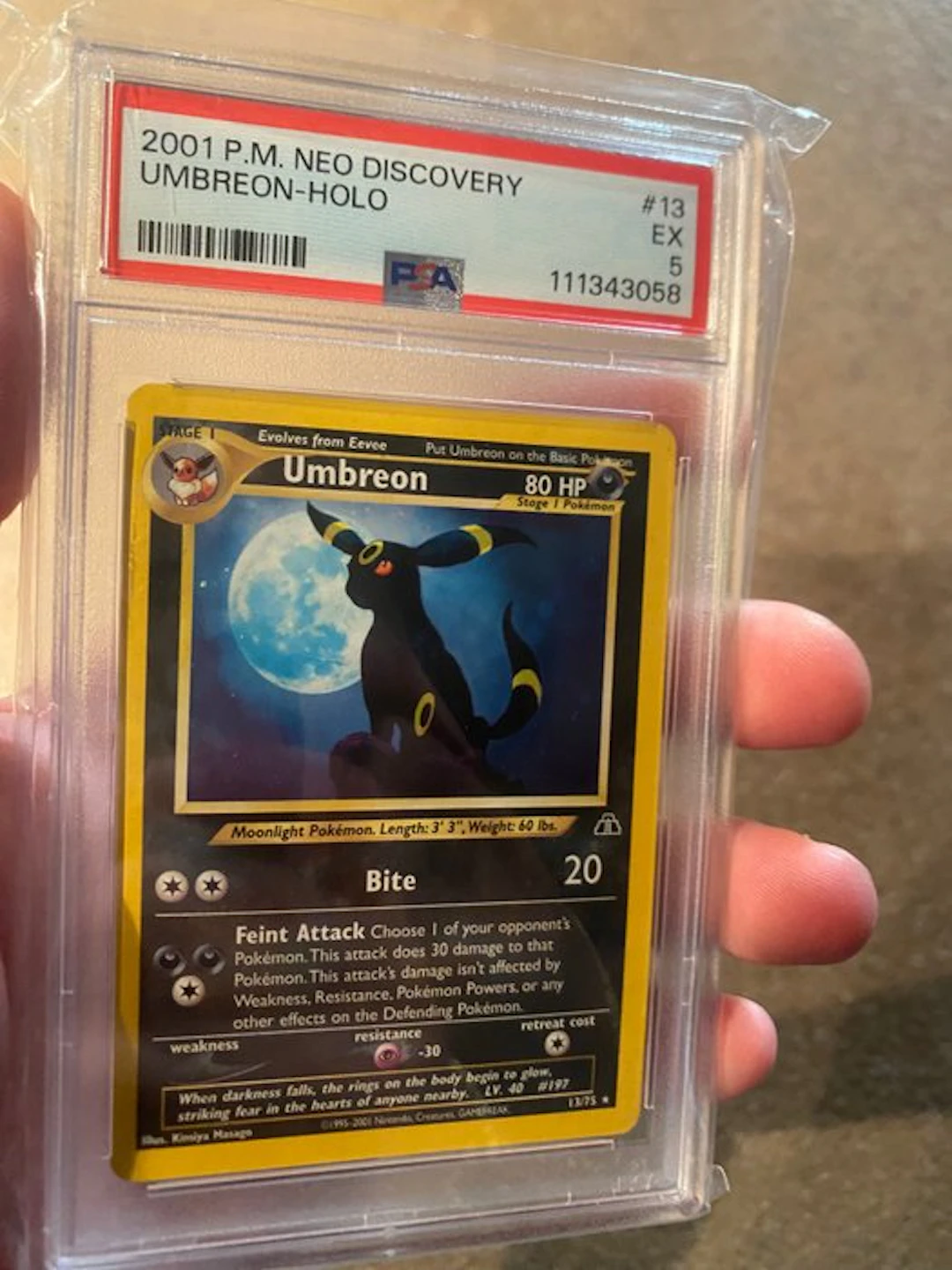 Pokémon - 1 Graded card - Umbreon - PSA 5 - Various sets