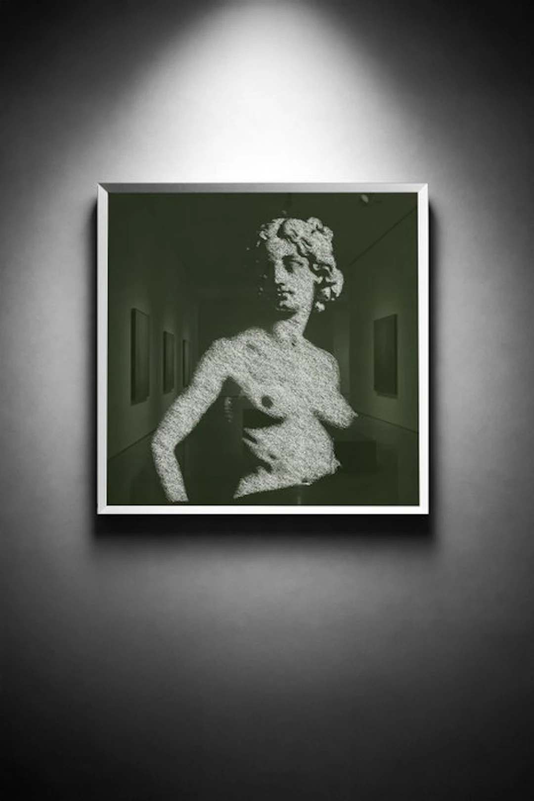 Tijs Dragtsma (1992) - Venus Traced in Wild Bramble