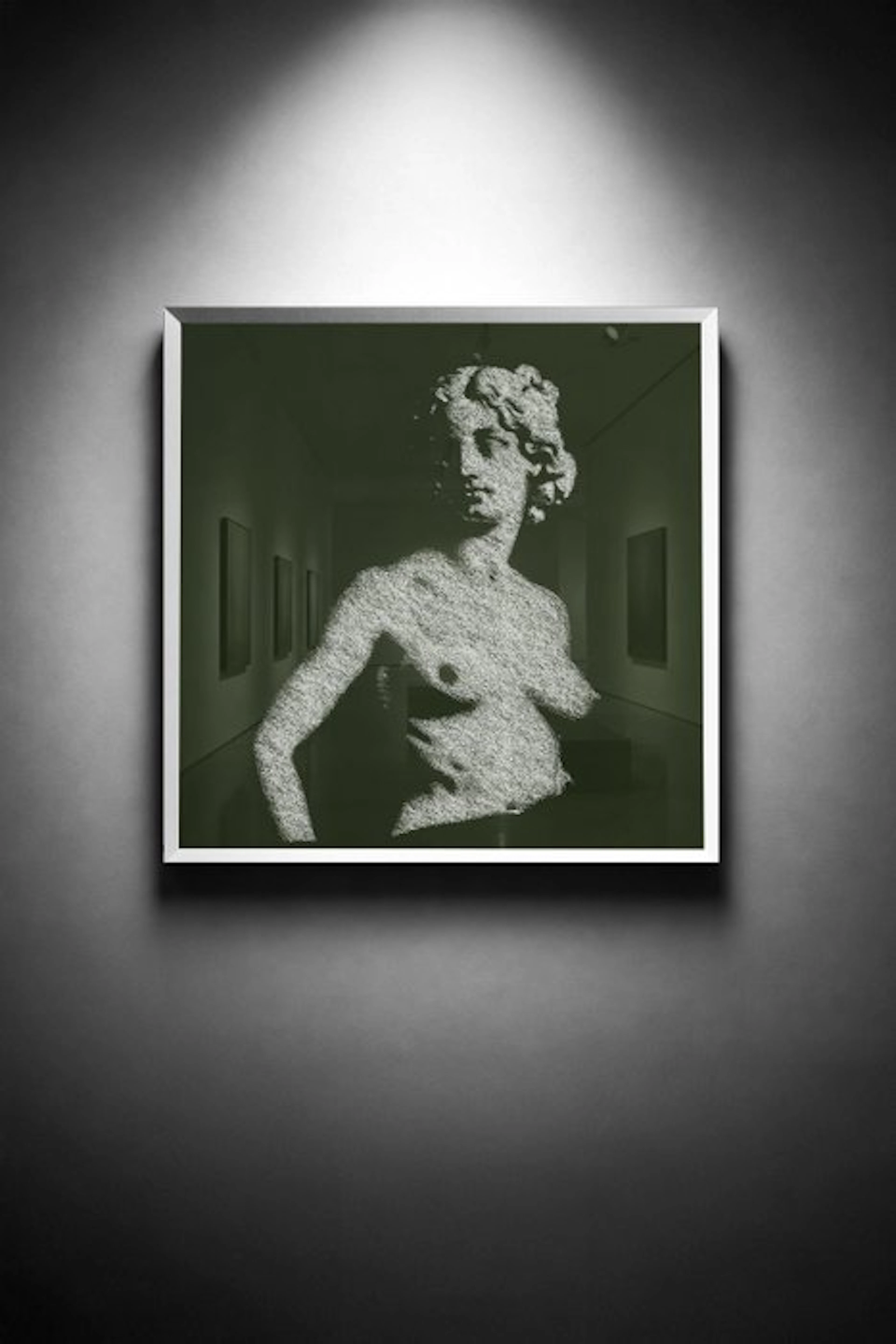 Tijs Dragtsma (1992) - Venus Traced in Wild Bramble