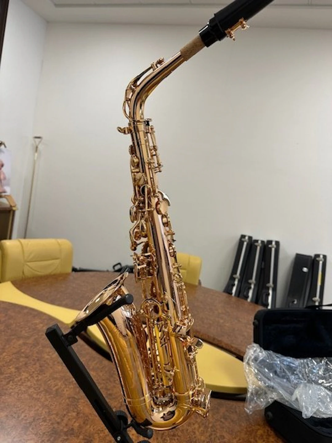 Ida Maria Grassi - ACAS300 G Sax Alto Ottone Placcato Oro - - Alto saxophone