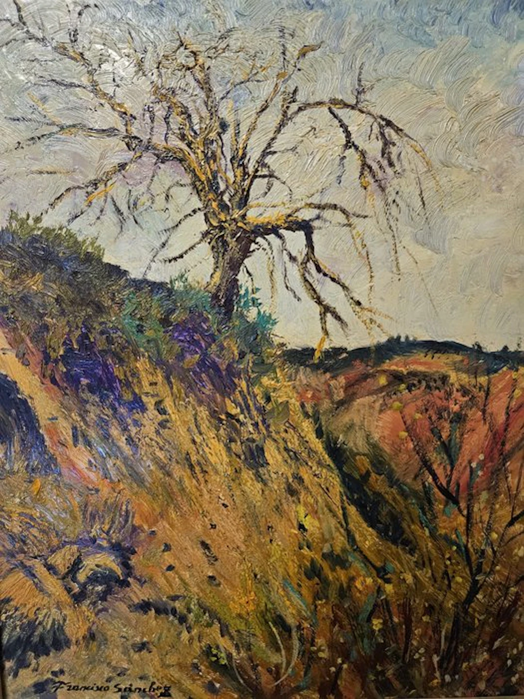 Francisco Sánchez (XX-XXI) - El Barranco Florido