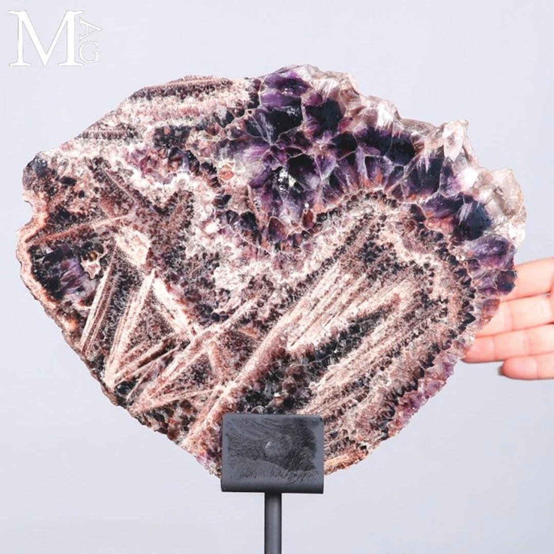 Large Polished Chevron Amethyst Slice with Striking...