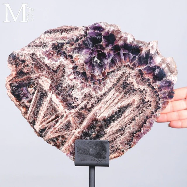 Large Polished Chevron Amethyst Slice with Striking...