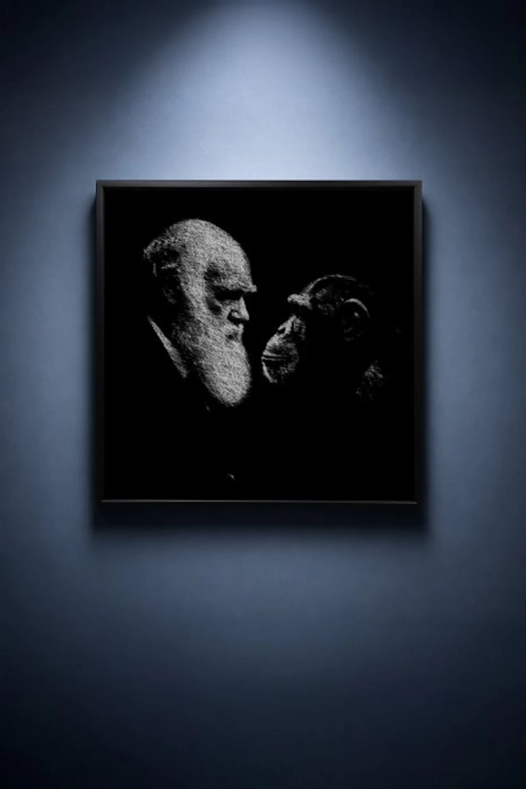 Tijs Dragtsma (1992) - Darwin Faces His Kin