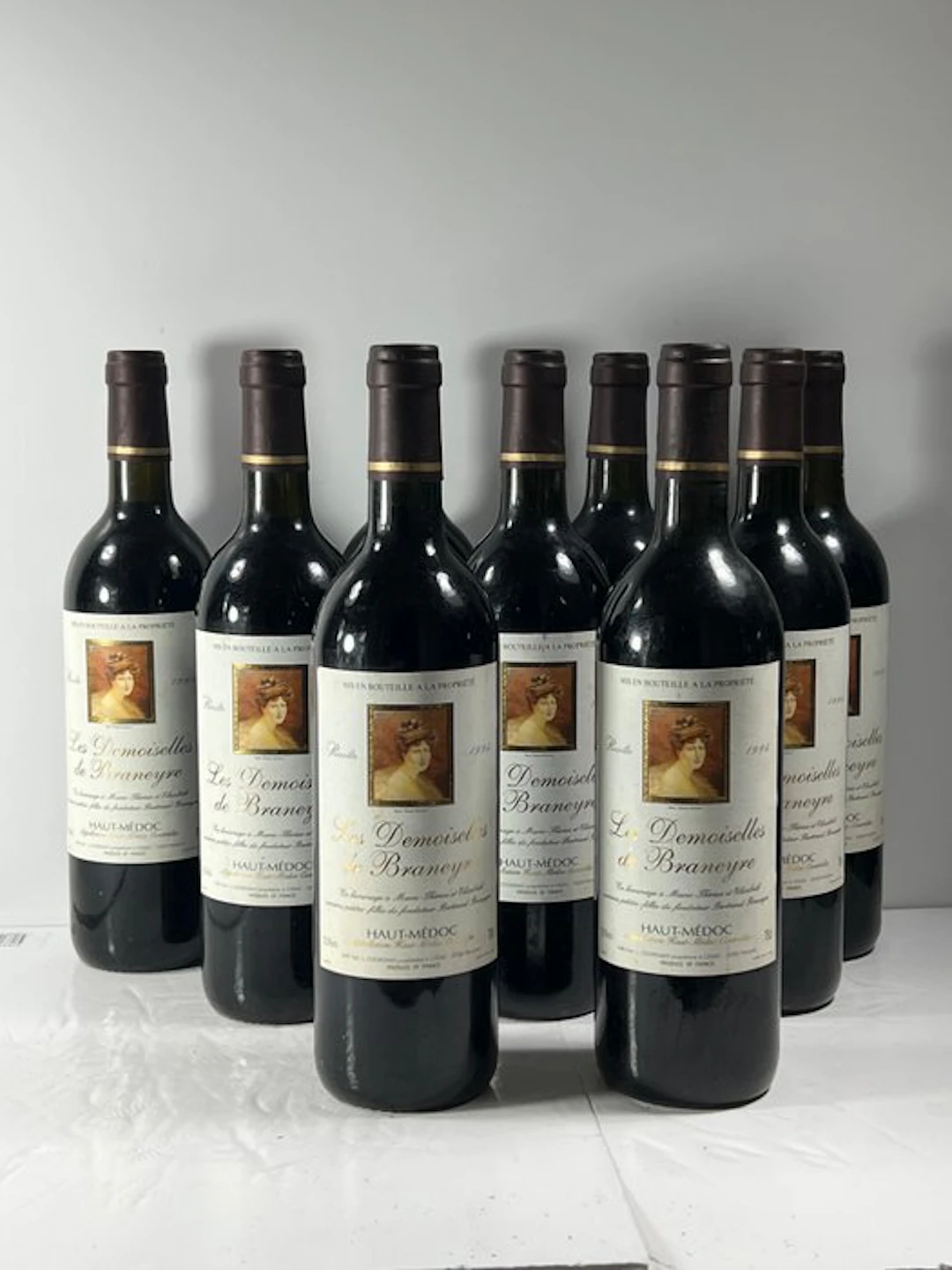 1995 Les Demoiselles de Braneyre - Haut-Médoc - 9 Bottles (0.75L)