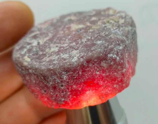 613 cts - HUGE Untreated Ruby - Rough- 122.6 g