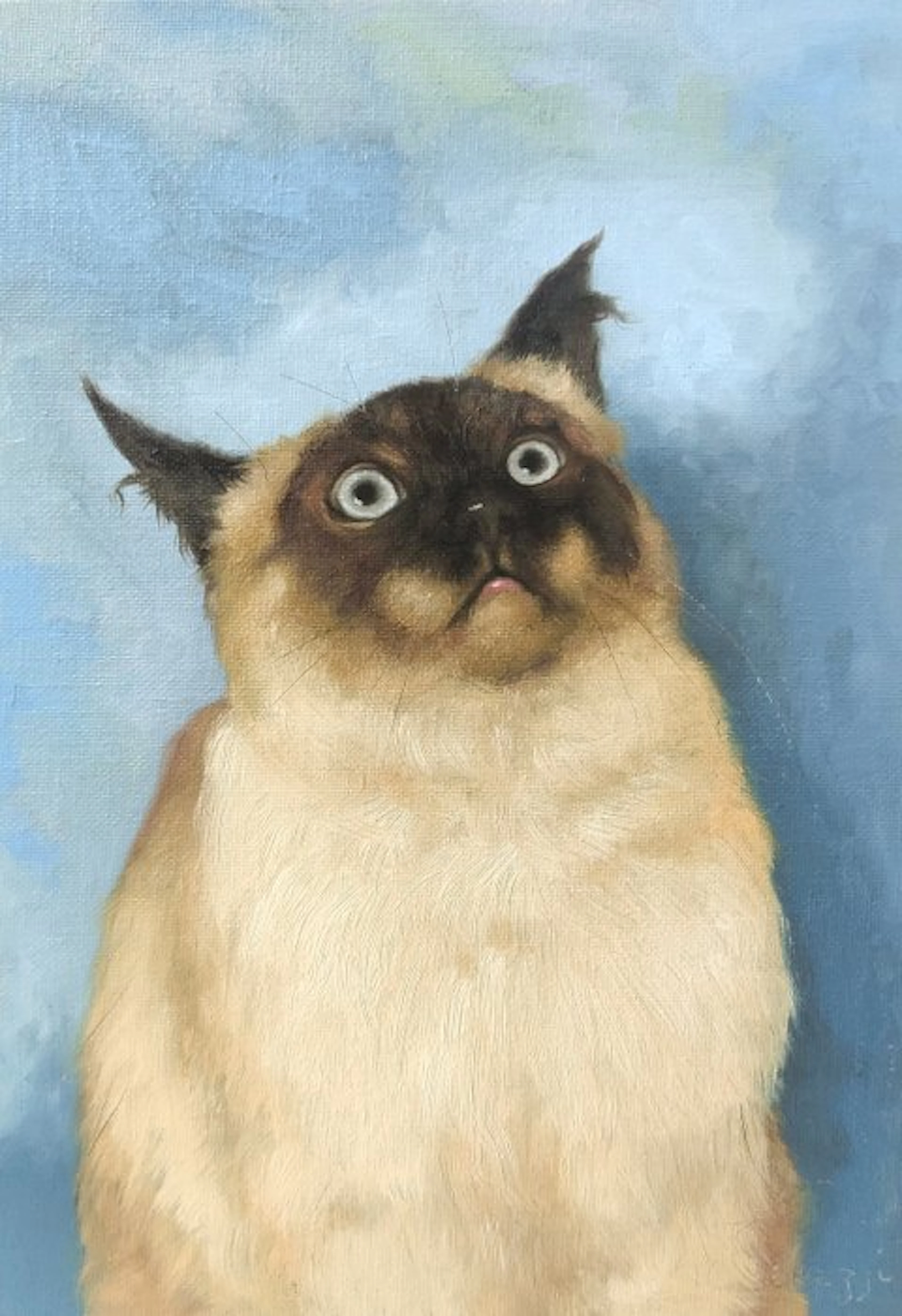 Cirezzi - Estudio Retrato de Gato Viral "Gato Siamés Sorprendido"