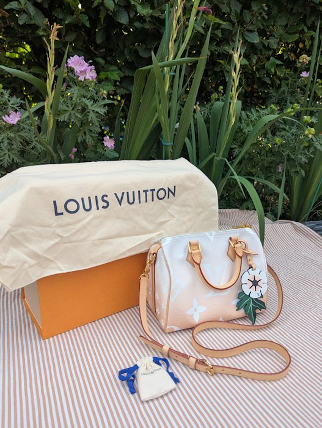 Louis Vuitton - Speedy 25 - Handbag