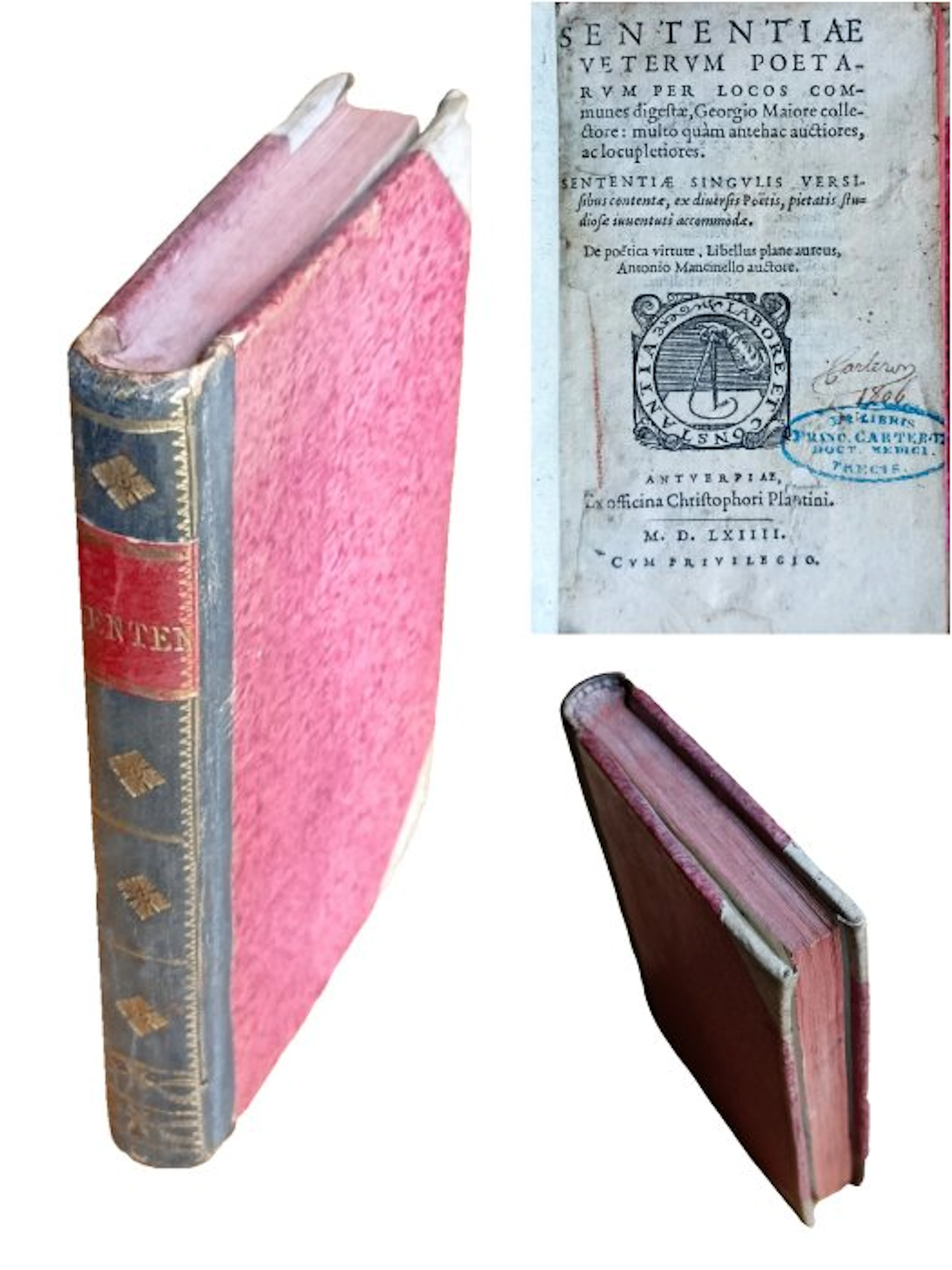 Georg Maior - Sententiae Veterum Poetarum Per Locos communes digestæ
