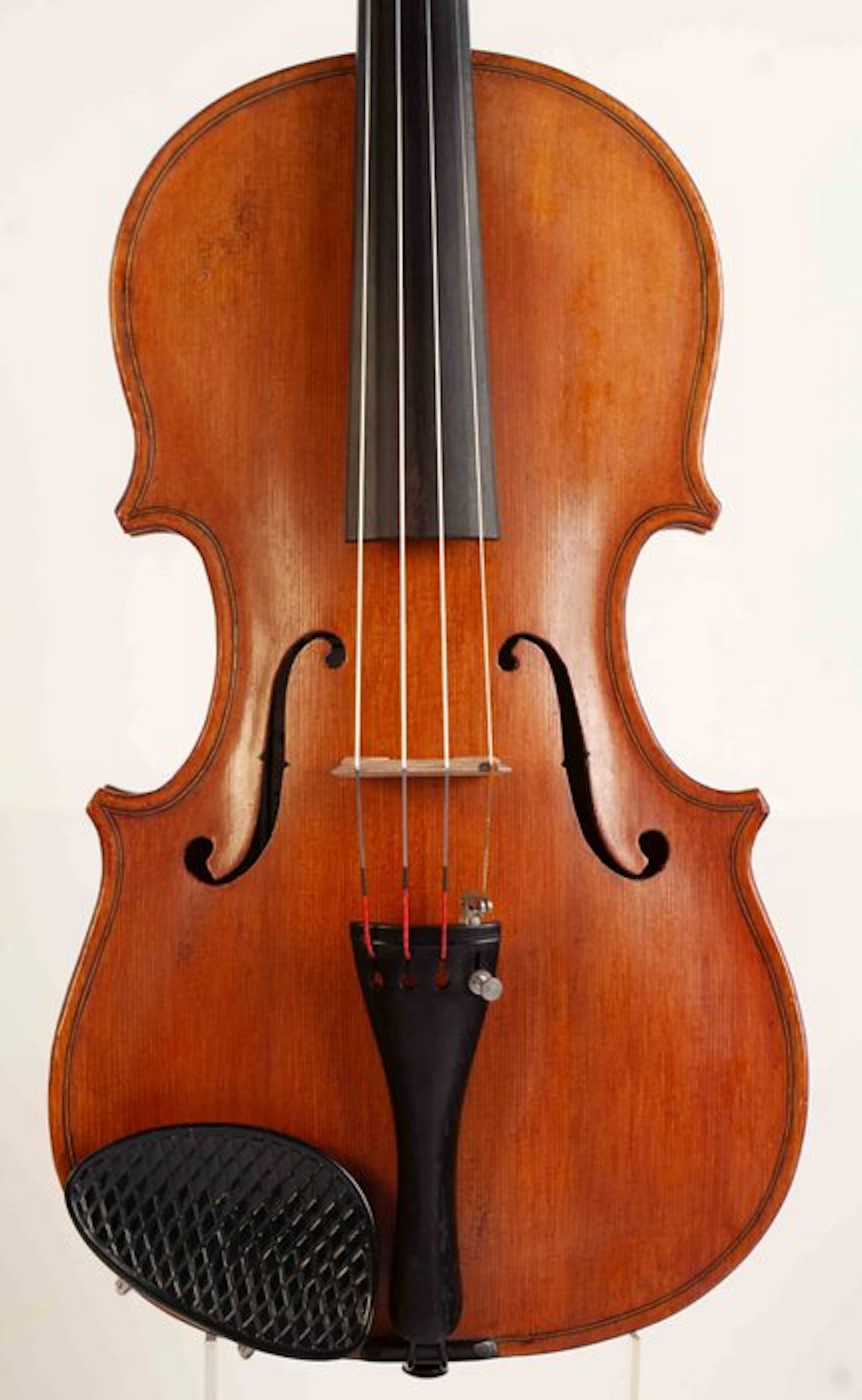 Labelled Antonius Sgarbi - 4/4 - - Violin - Unknown