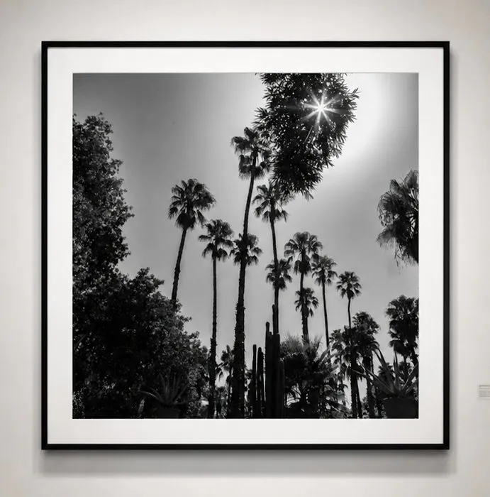Ben Dauchez - An after noon at Majorelle B&W