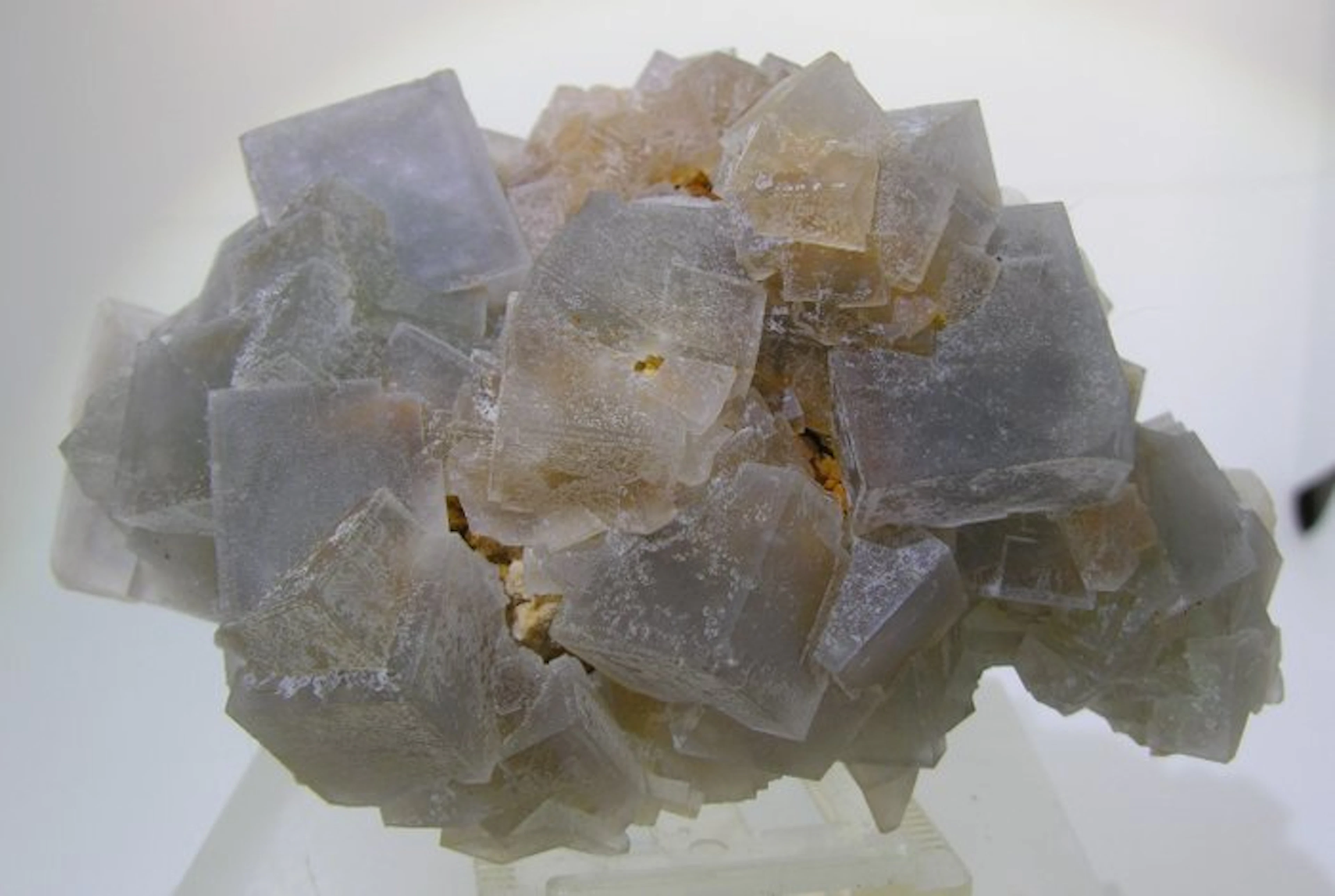 Fluorite Crystal on matrix - Height: 11.5 cm - Width: 7.5 cm- 338 g - (1)