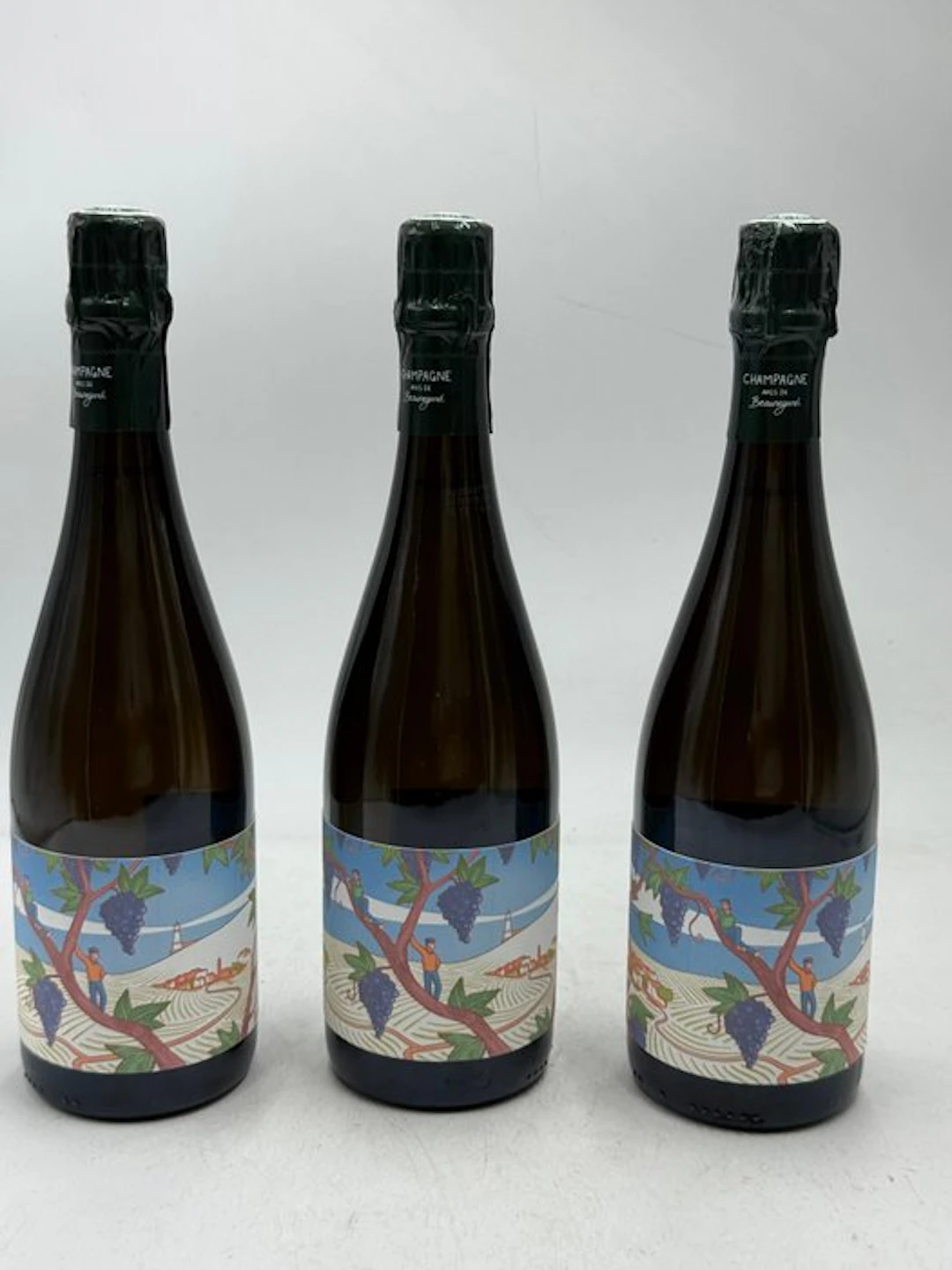 2018 Amis de Beauregard - Champagne Blanc de Noirs