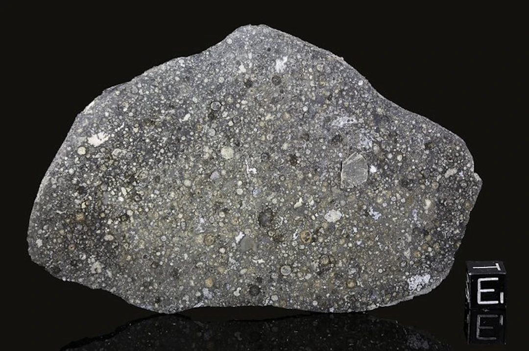 Allende meteorite Slice - 49.2 g - (1)