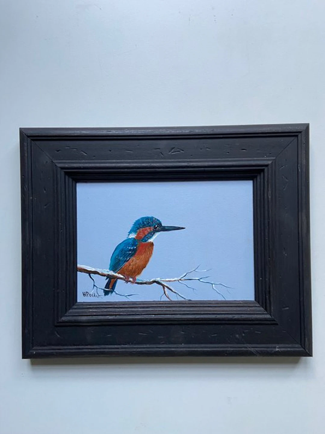 H Poeder - Kingfisher