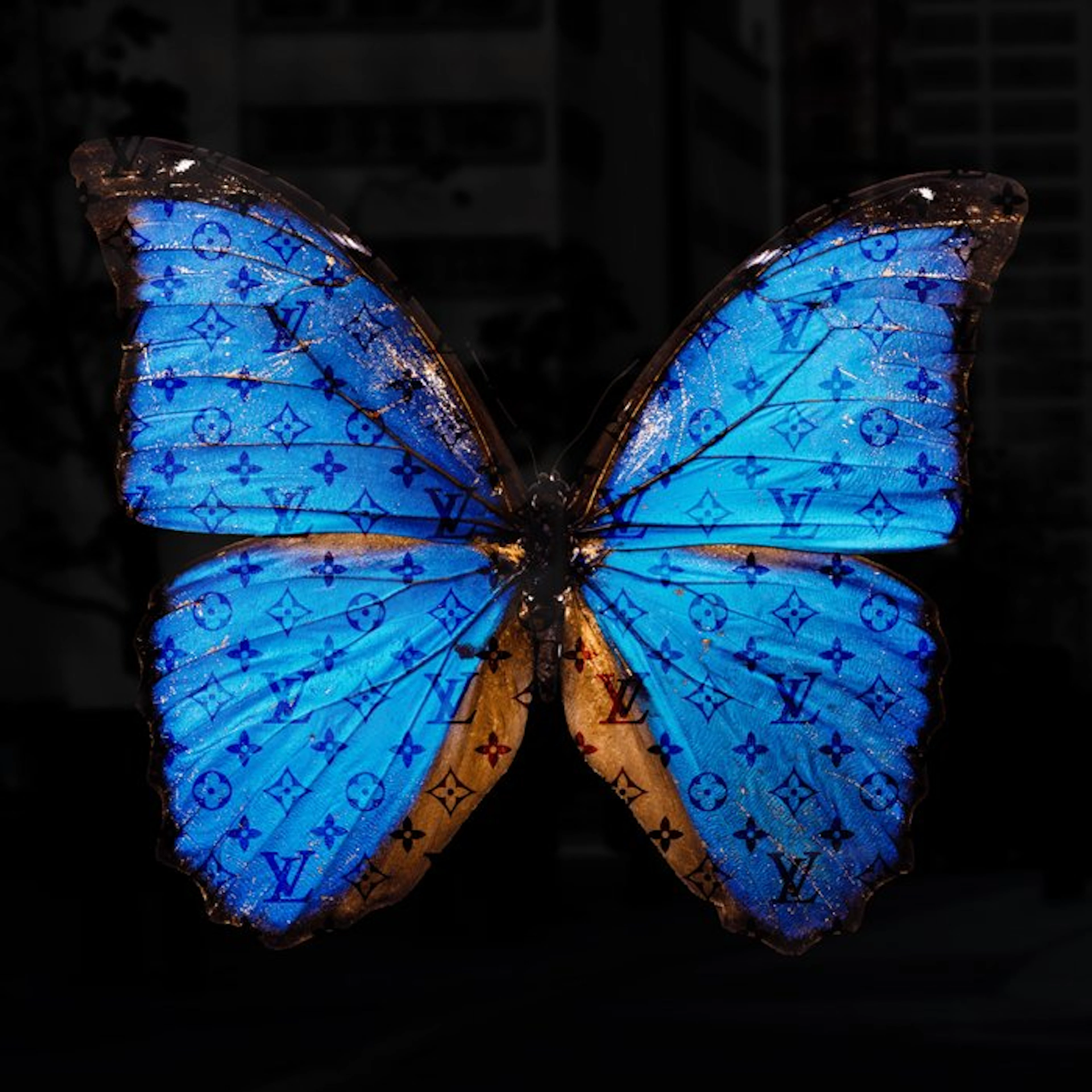 Daluxe Art (1999-) - Louis Vuitton Butterfly