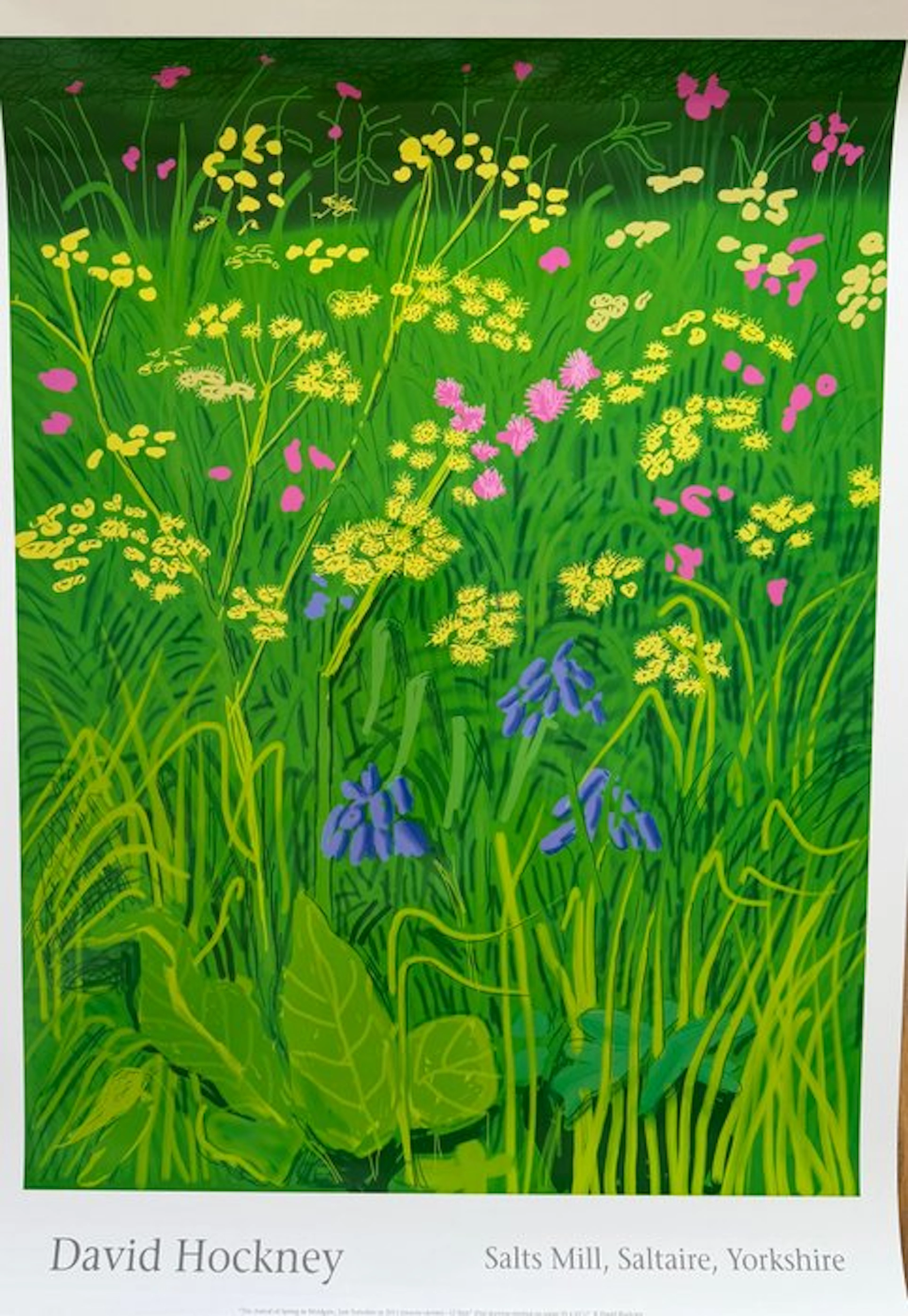 David Hockney - The Arrival of Spring in Woldgate