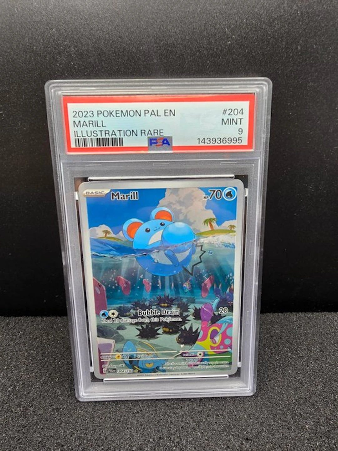 Pokémon - 1 Graded card - Marill #204 Full art - PSA 9 - Scarlet & Violet