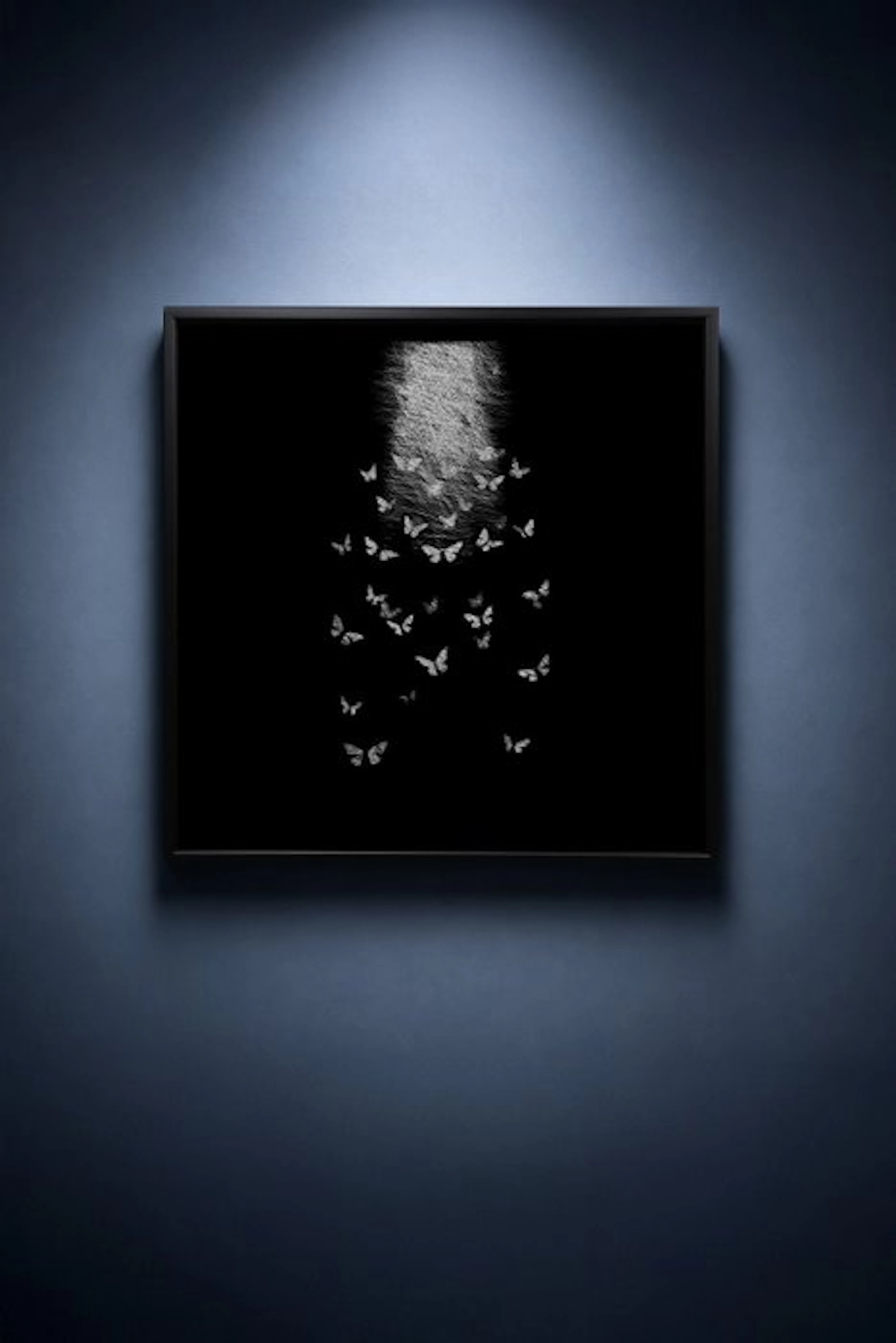 Tijs Dragtsma (1992) - A Congregation of Wings