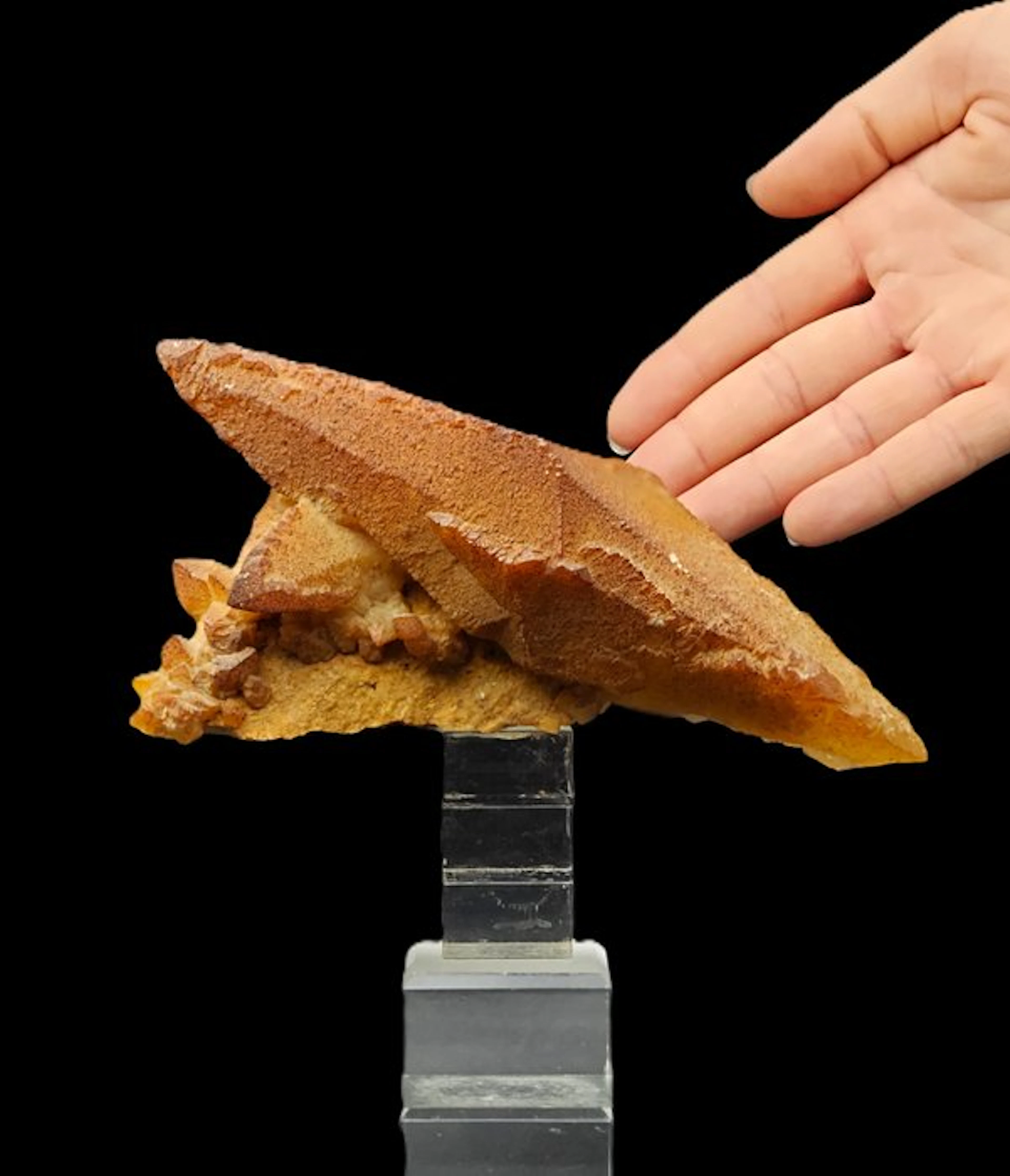 ENORMOUS crystal 16.5 cm - orange calcite biterminated twin-crystal