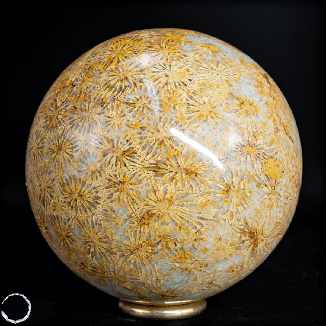 Extremely Rare Natural Fossil Coral Sphere, Australia- 856.88 g