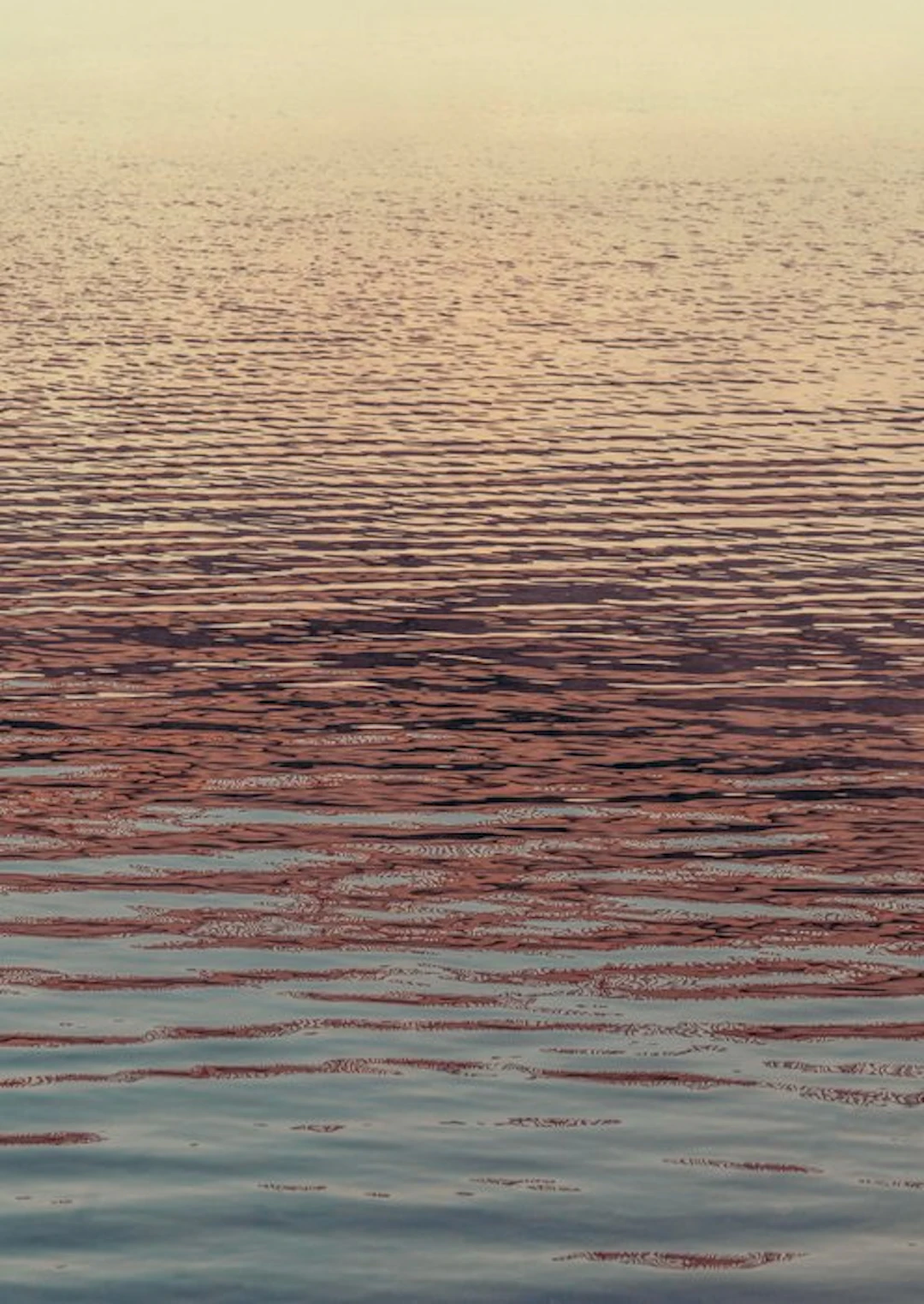 Jorge Omeñaca - The possibility of water - XL