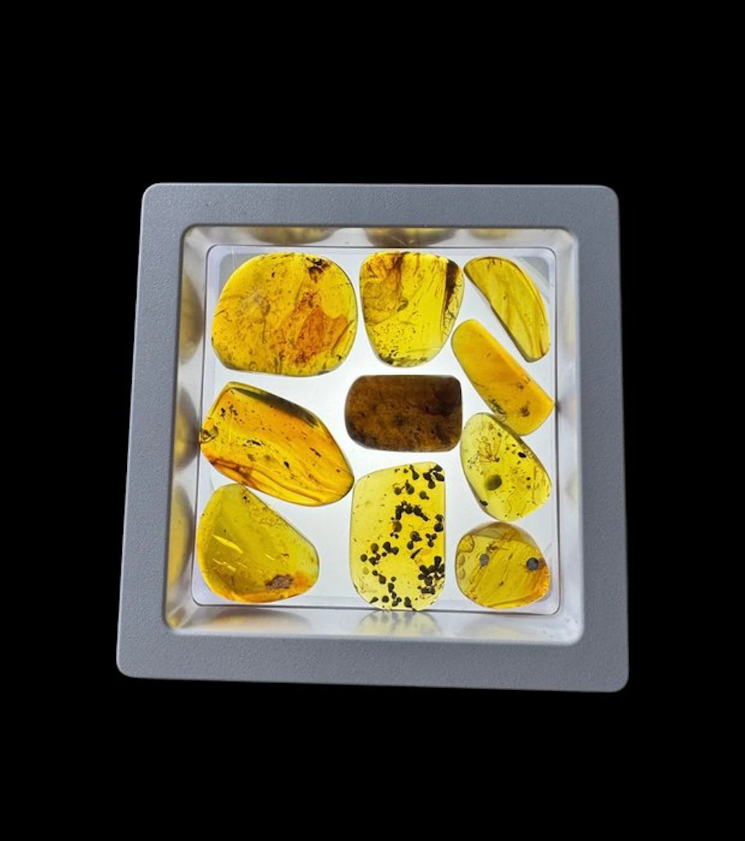 Burmese amber - Amber - 10 Burmese Amber Pieces with...