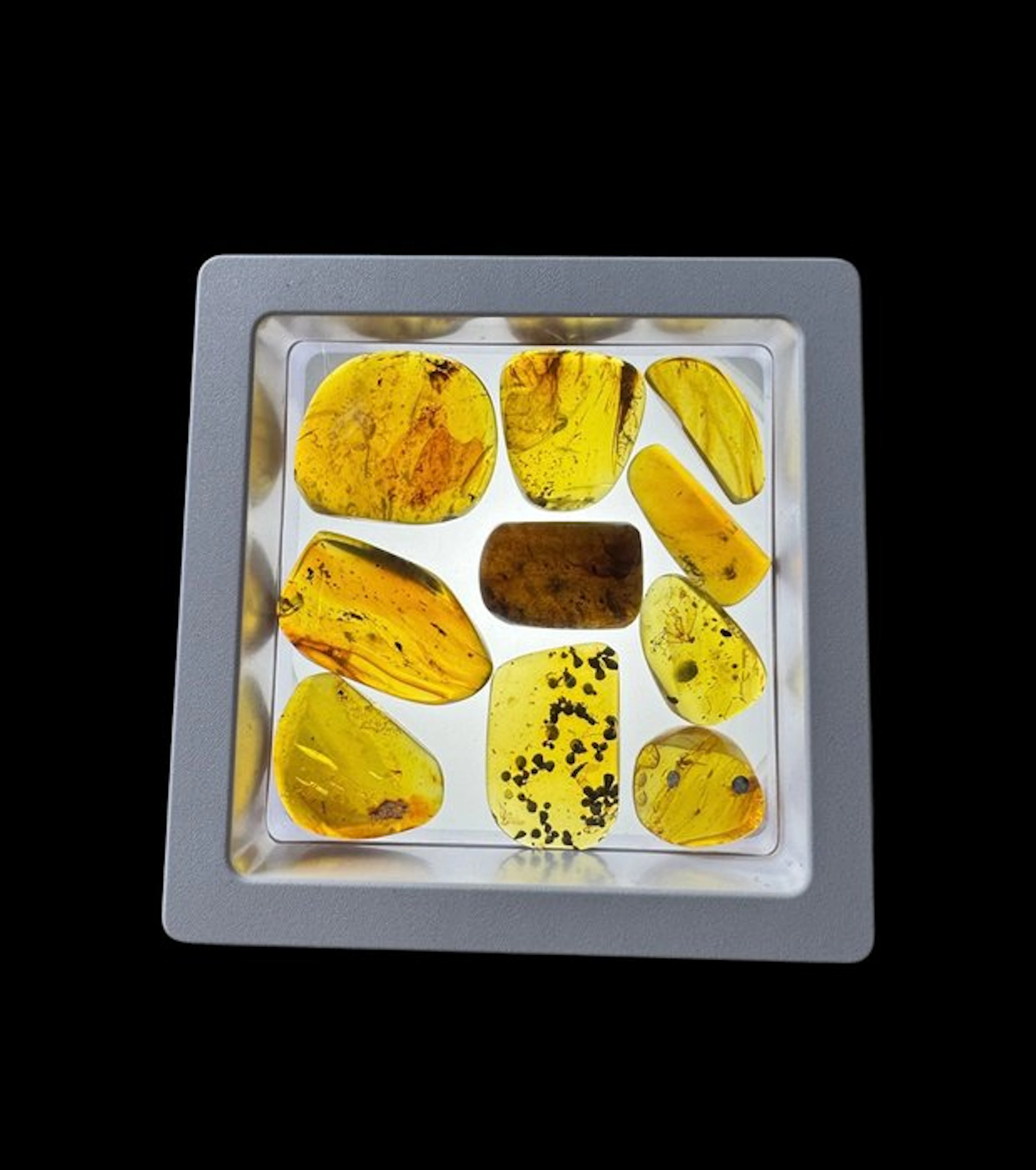 Burmese amber - Amber - 10 Burmese Amber Pieces with...