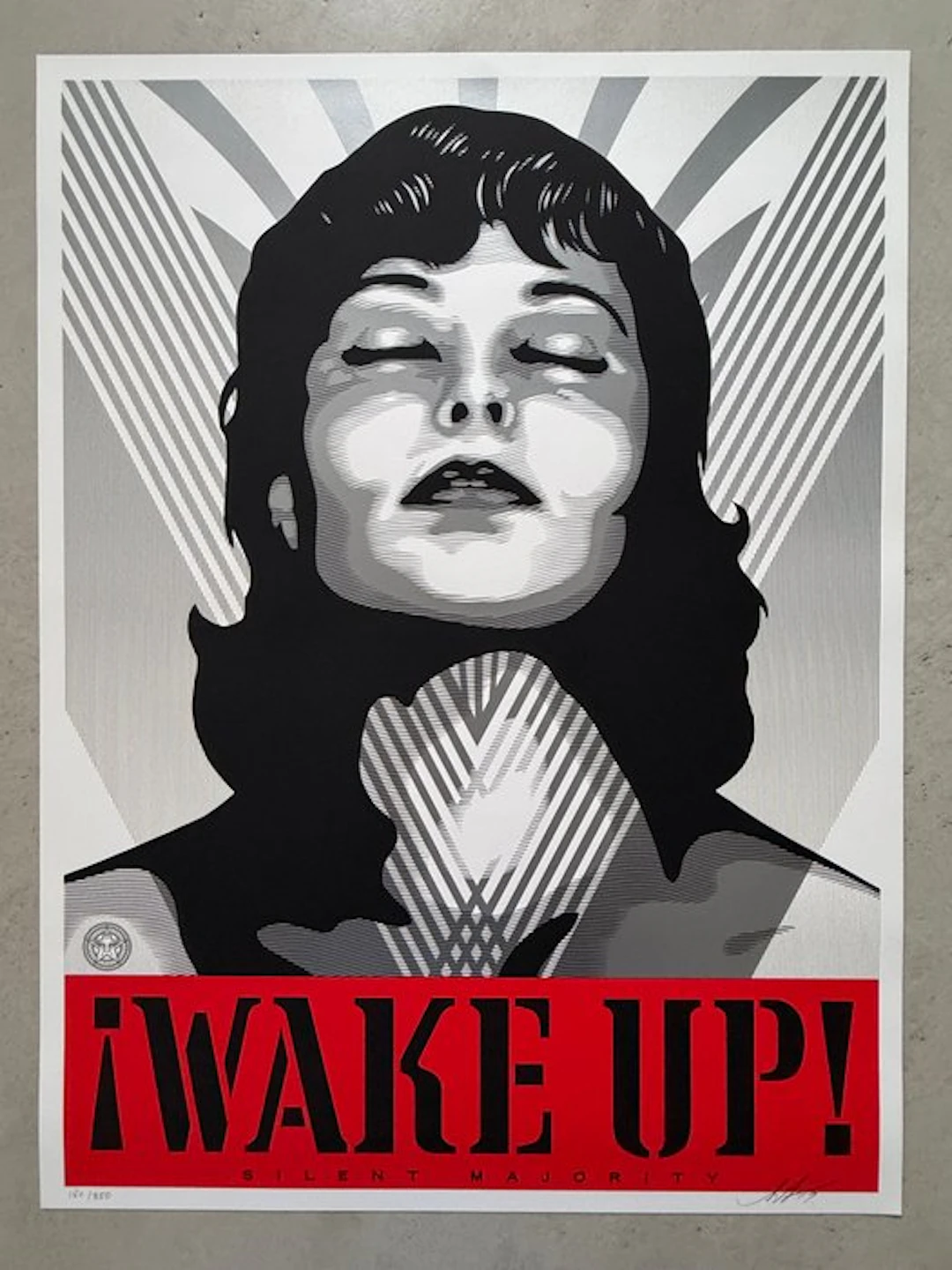 Shepard Fairey (OBEY) (1970) - Wake Up! silver