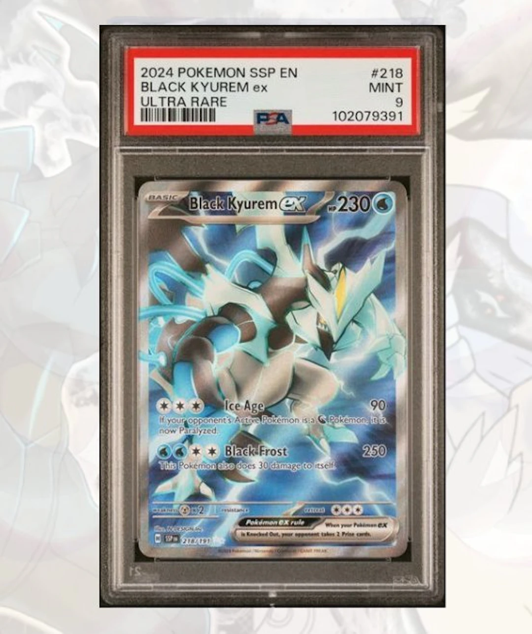 Pokémon - 1 Graded card - Black Kyurem ex Ultra Rare...