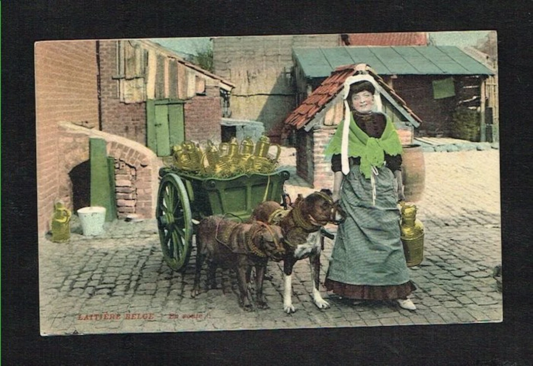 Belgium - Belgium - Flemish Milkmaids - Very nice set of 34 postcards