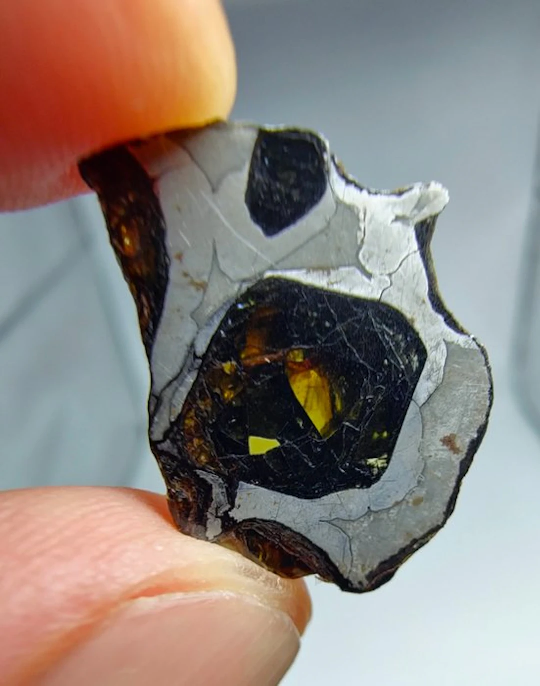 Pallasite Meteorite, NWA 16774. No reserve price. - 2.34 g