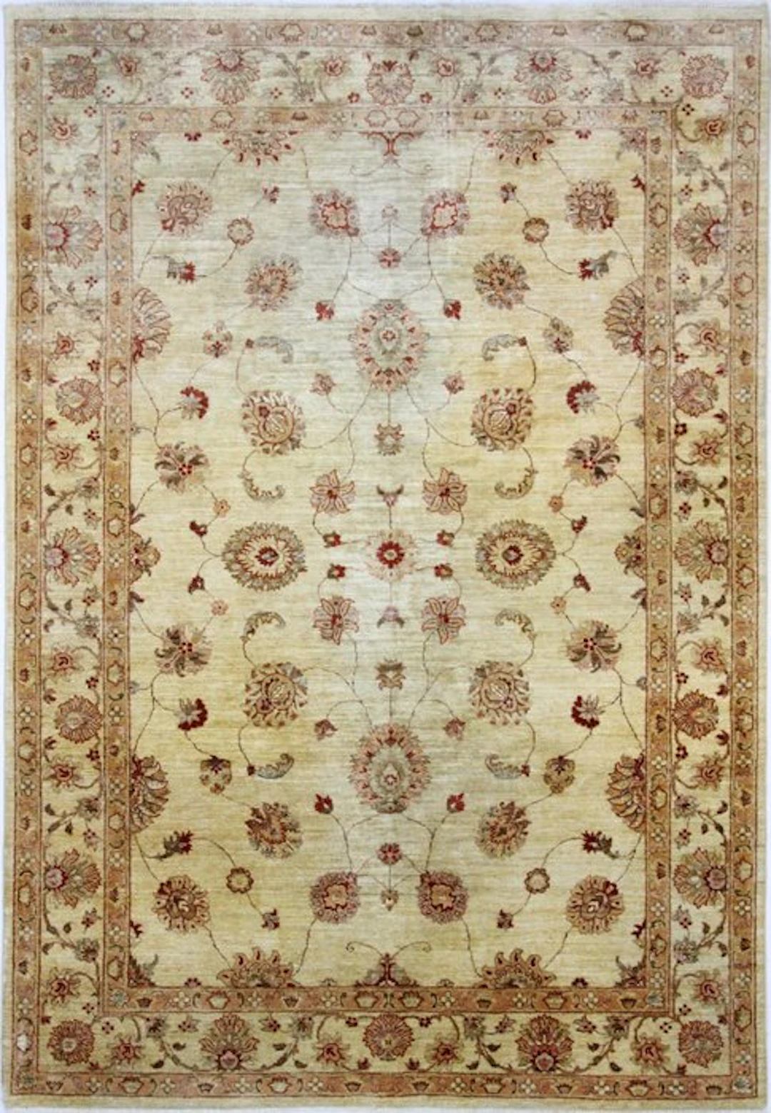 Hand-knotted rug Ziegler Chubi rug - Carpet - 300 cm...