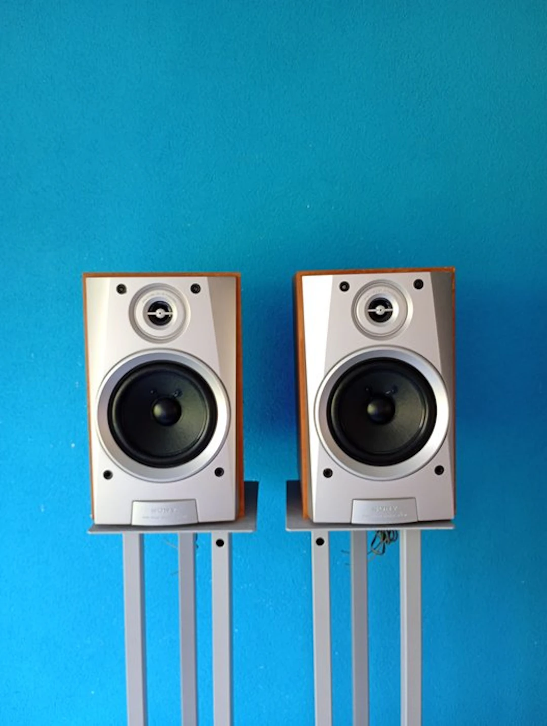 Sony - Sony SS-MD313 Speaker set