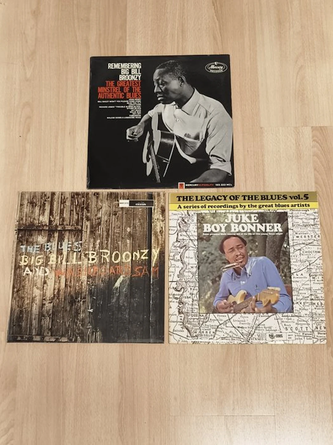 Big Bill Broonzy / Washboard Sam / Juke Boy Bonner...
