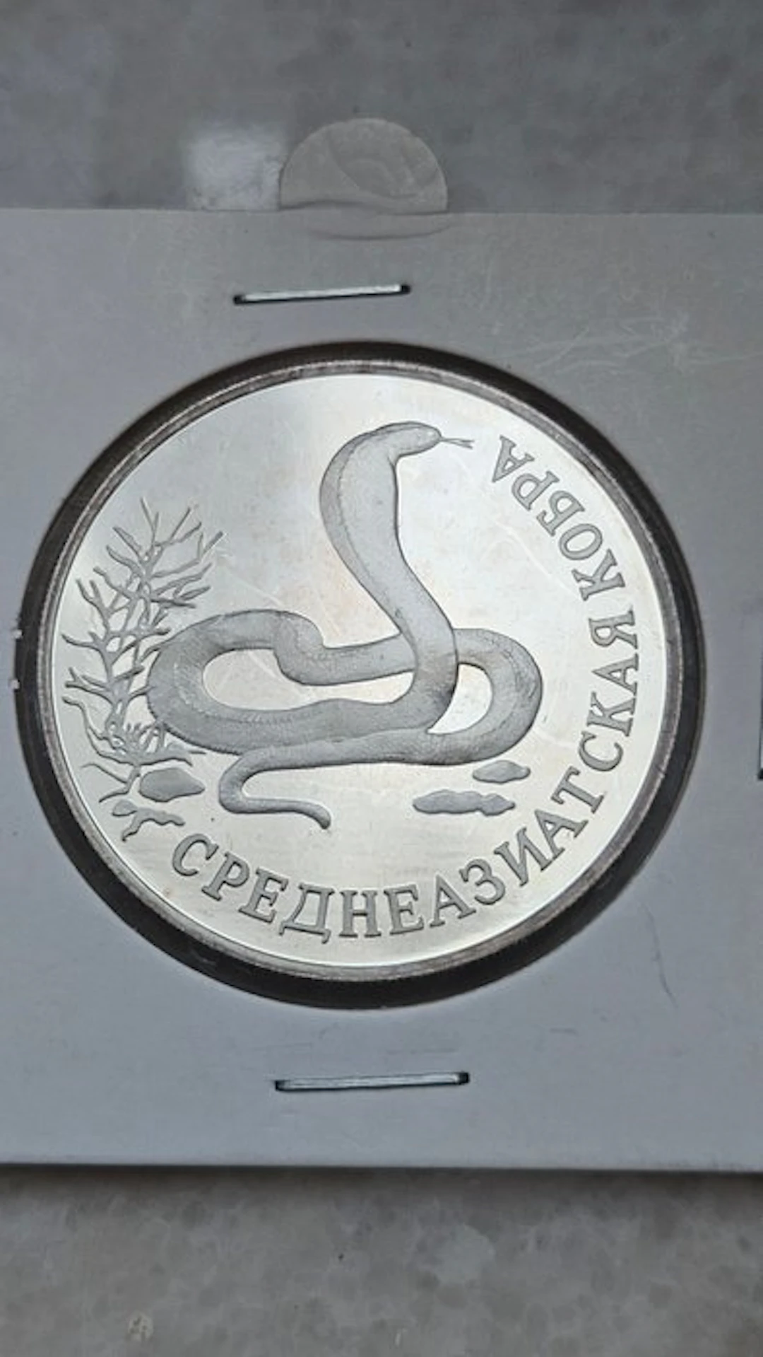 Russia. 1 Rouble 1994 (No reserve price)