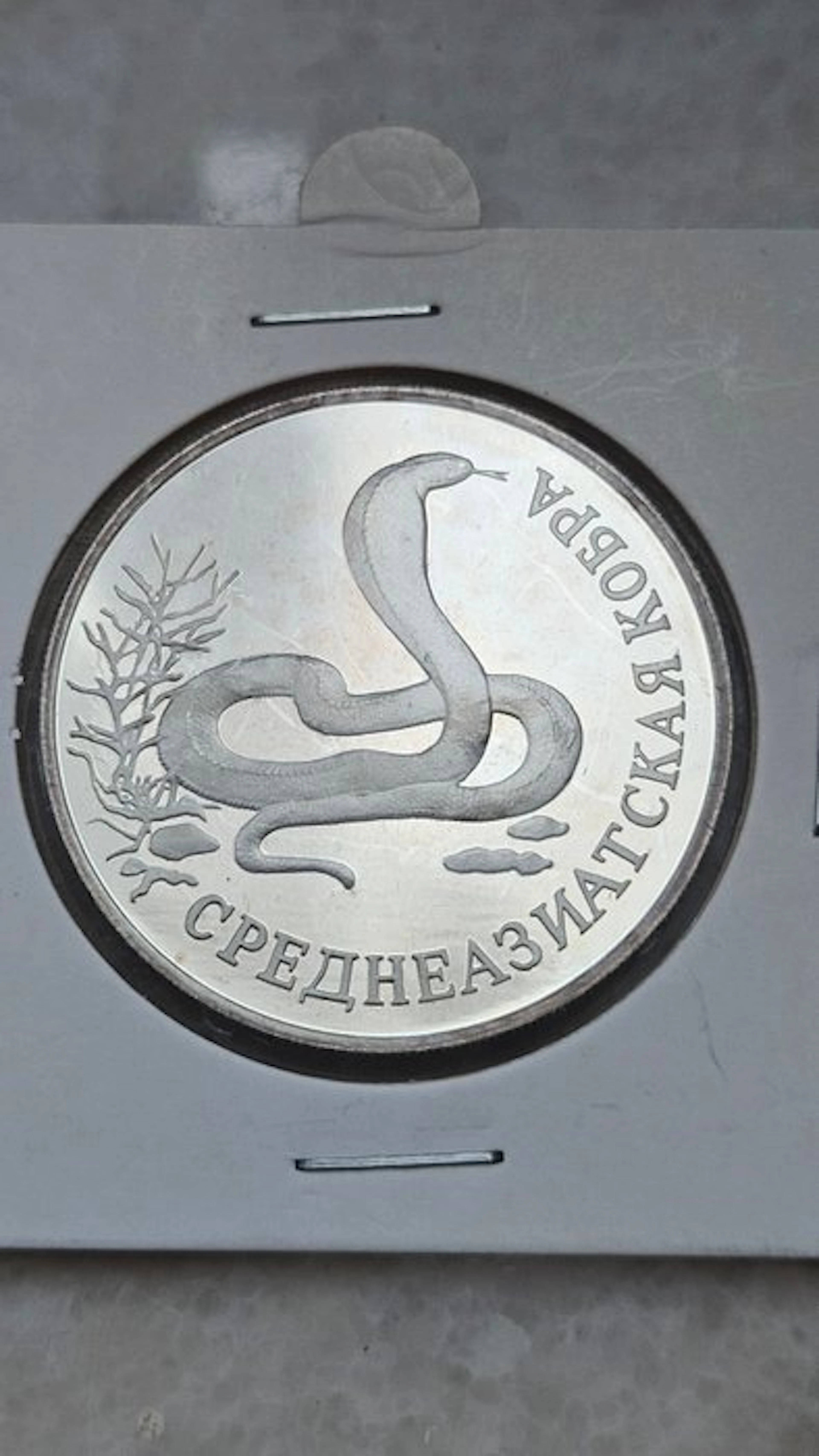 Russia. 1 Rouble 1994 (No reserve price)