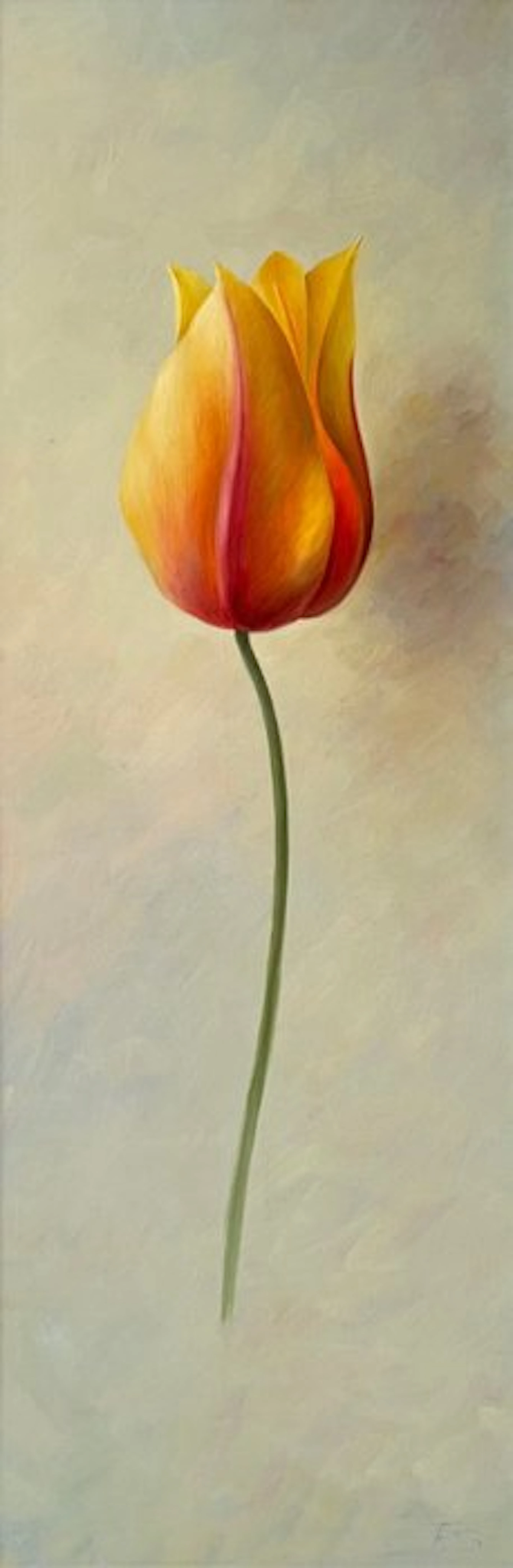 Fred Smoolenaers (1951) - Tulp