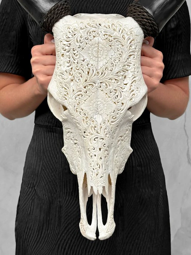 NO RESERVE PRICE - Authentic White Hand-Carved Cow Skull...