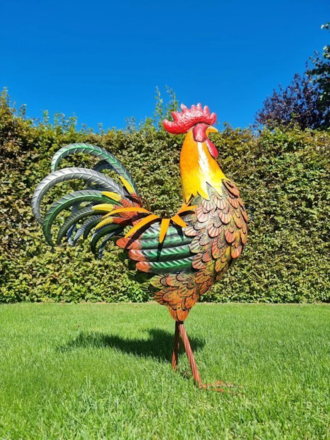 Sculpture, Metalen Haan - 85 cm - Metal