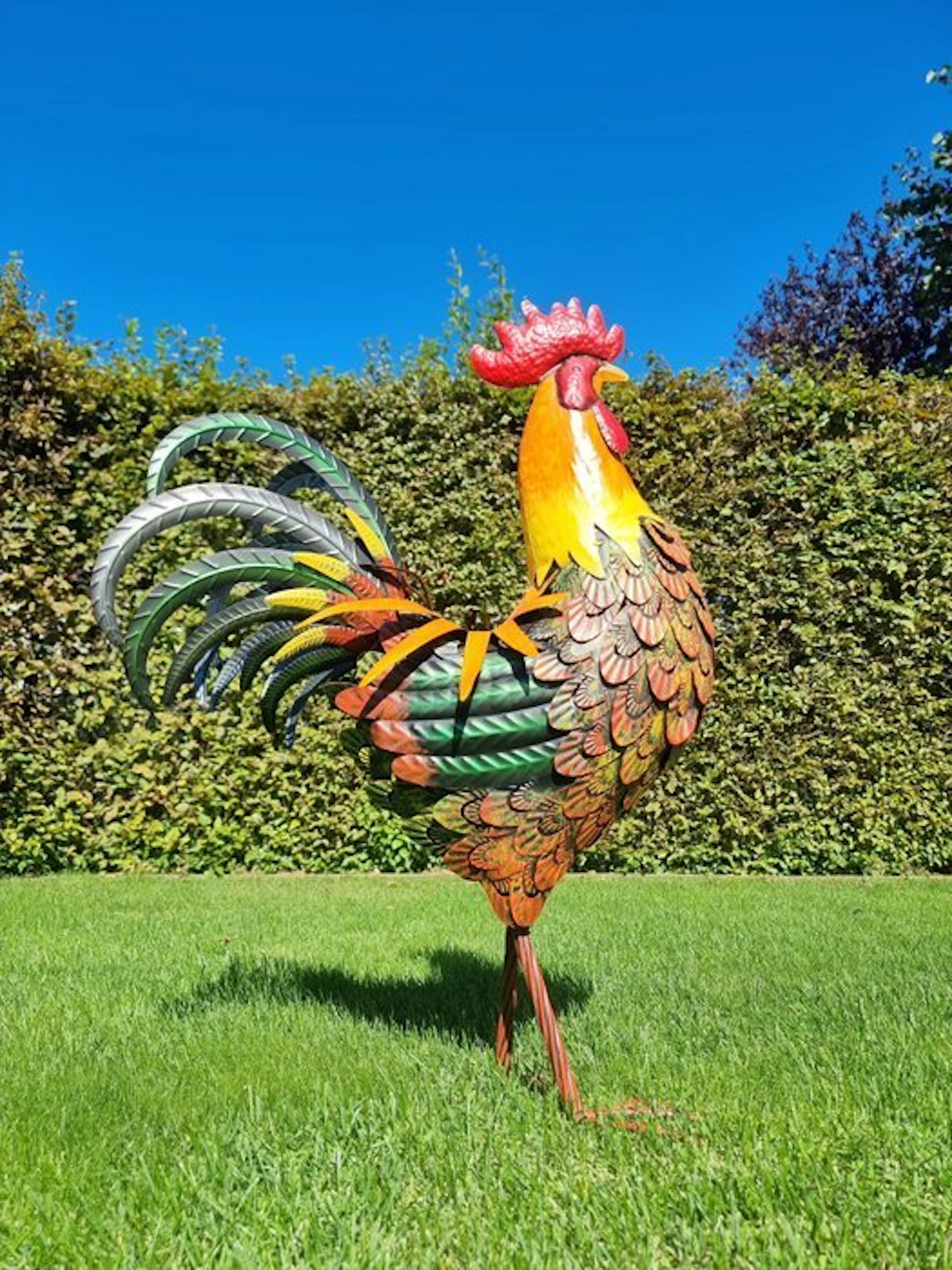 Sculpture, Metalen Haan - 85 cm - Metal