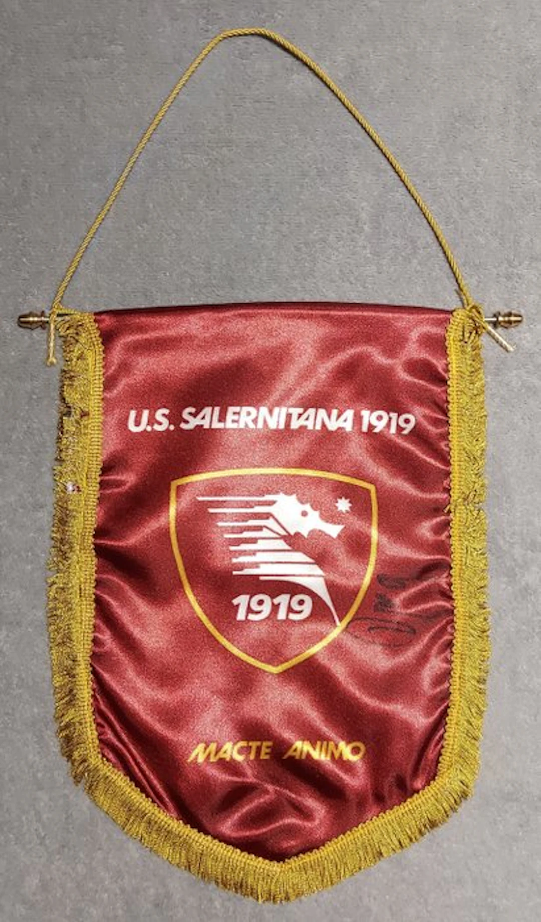 Salernitana - Italian Football League - Milan Djuric - 2026 - Pennant