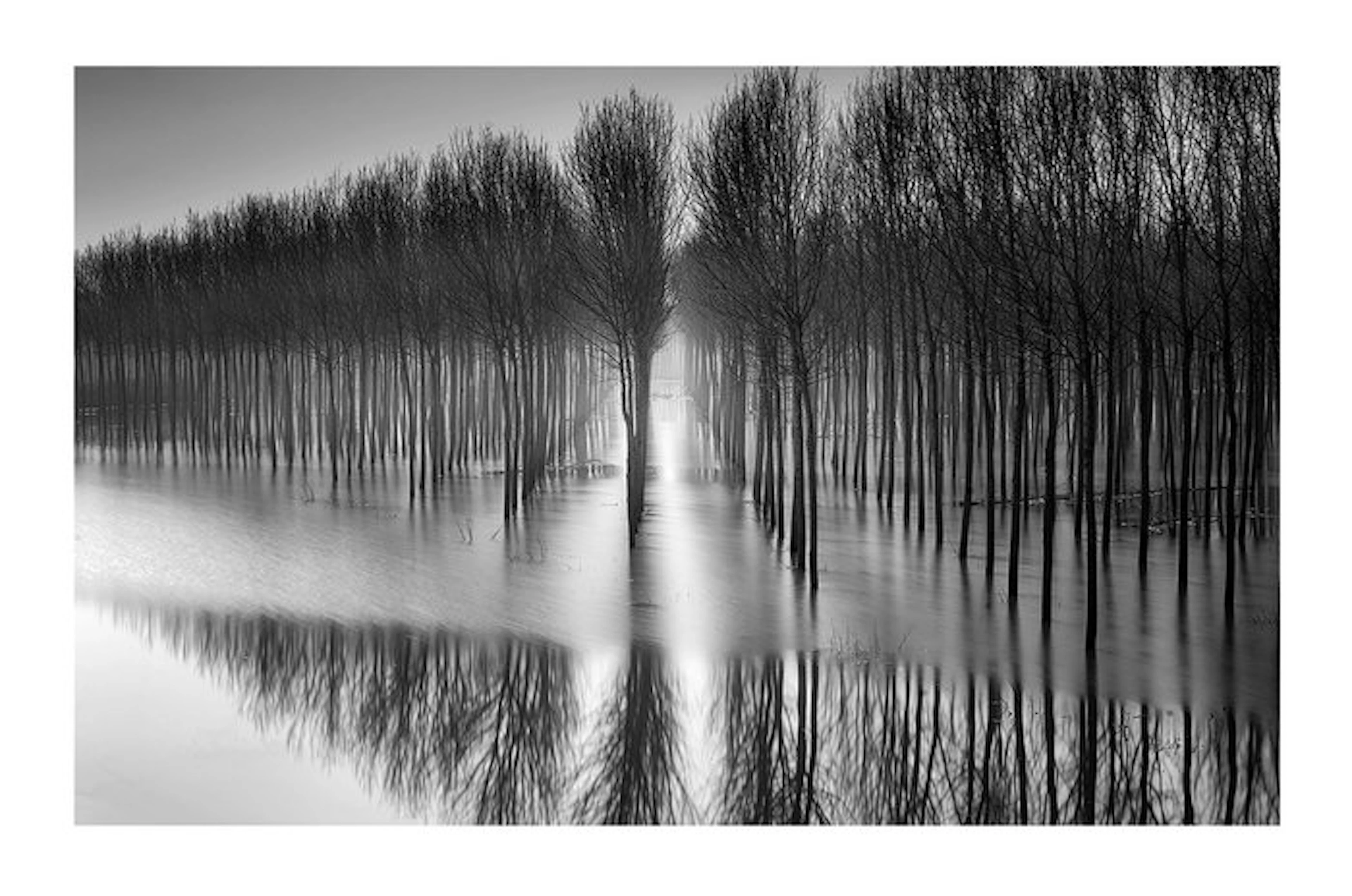 Sergio Sberna - Terre basse
