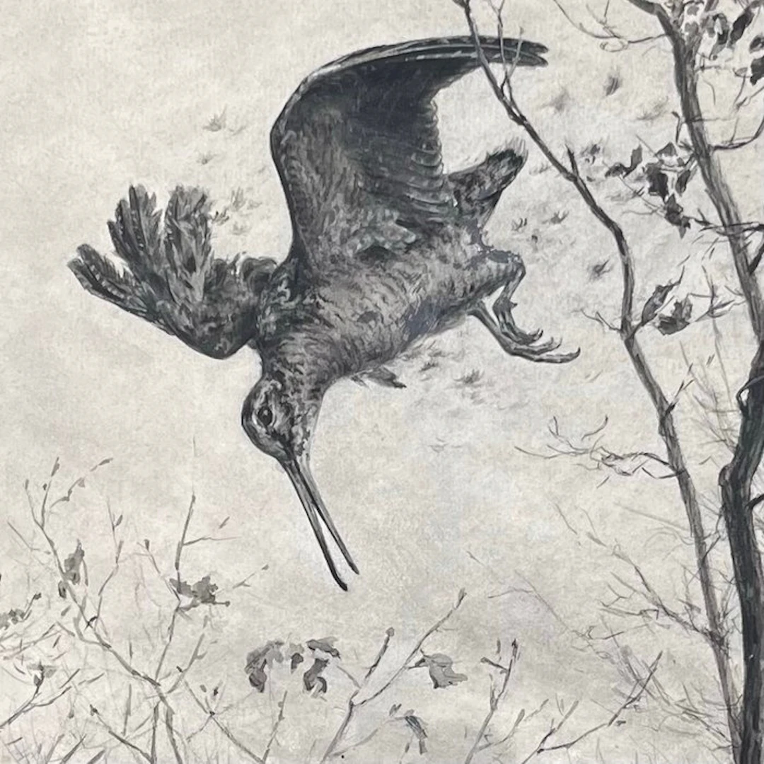 Marcel Moisand (1874-1903) - Bécasse en vol - Sous-bois...