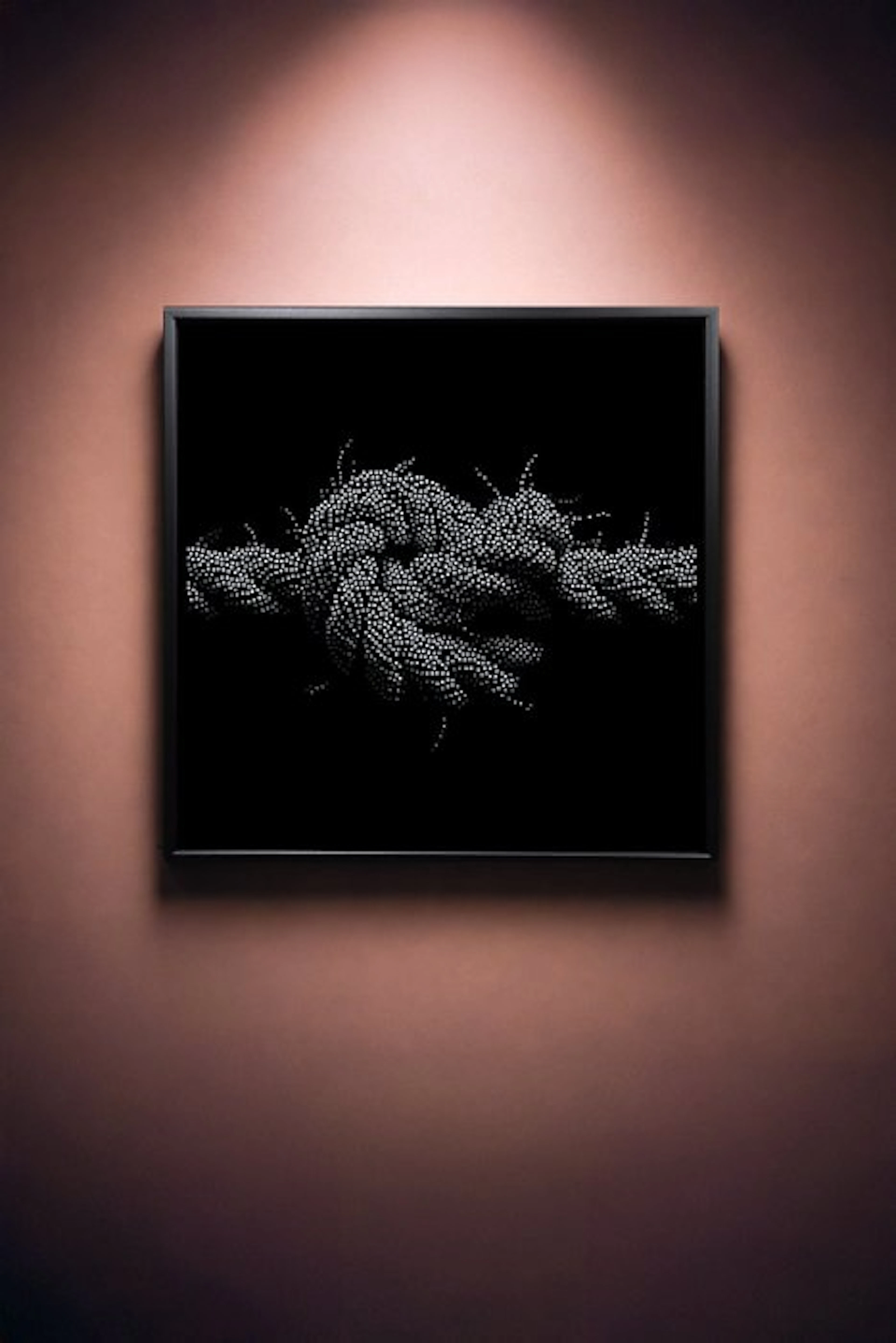 Tijs Dragtsma (1992) - Void. A Knot Bound in Salt