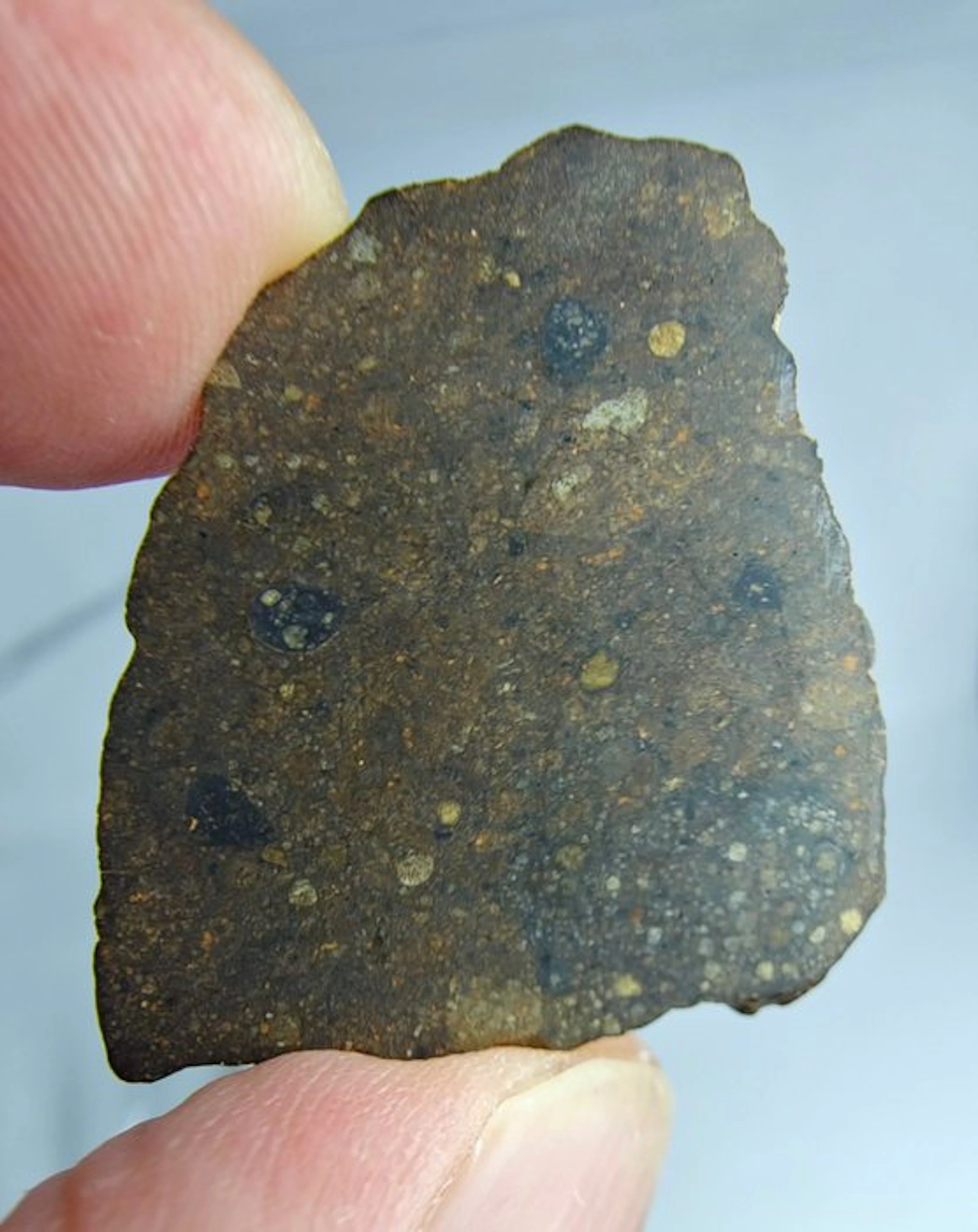 Meteorite. Rumuruti R3-6. NWA 17584. - 4.95 g - (1)