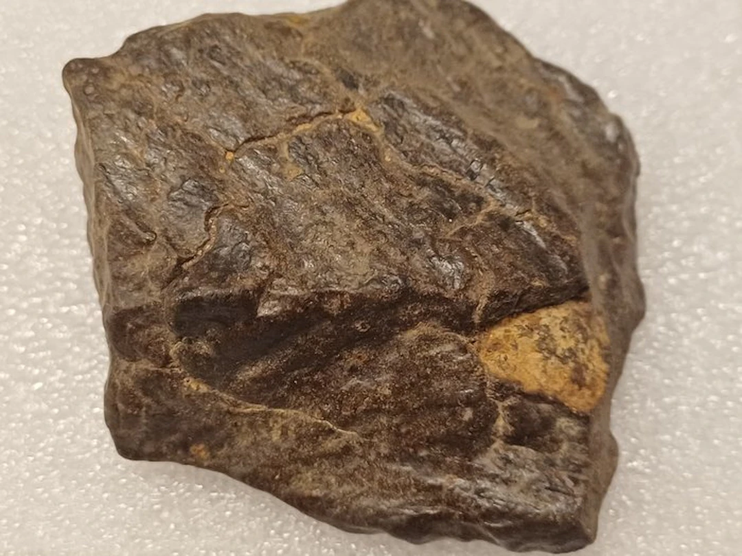 NO RESERVE!! Chondrite NWA 129.08G FLOW LINES SUPERIOR...