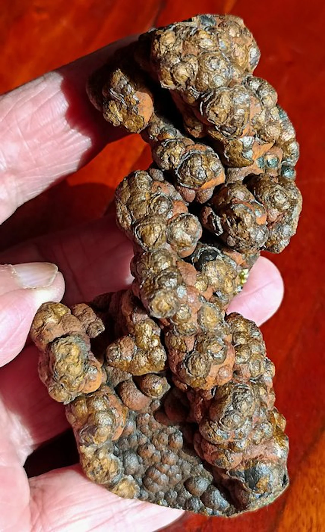 Botryoidal limonite